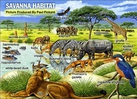 Savanna Ecosystem