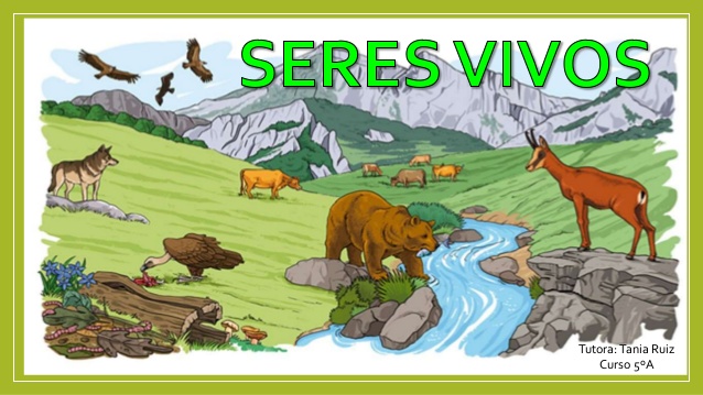 seres vivos y no vivos - Grado 9 - Quizizz