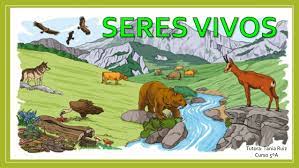 seres vivos y no vivos - Grado 6 - Quizizz