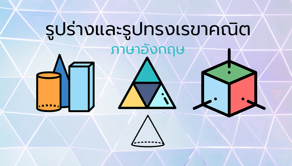 พื้นที่ผิว Flashcards - แบบทดสอบ