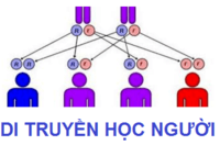 Thuộc về y học - Lớp 9 - Quizizz