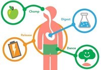 metabolisme - Kelas 12 - Kuis