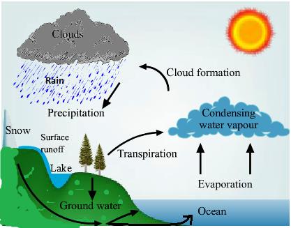 water grade 6