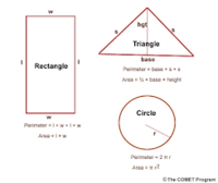 Area of a Rectangle - Grade 7 - Quizizz