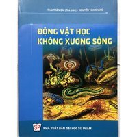 động vật có xương sống và động vật không xương sống - Lớp 6 - Quizizz