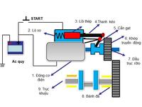 hệ thống miễn dịch - Lớp 1 - Quizizz