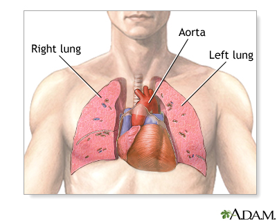 Circulatory & Respiratory Systems