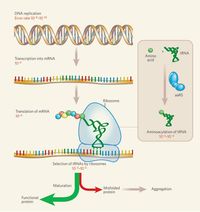 tổng hợp rna và protein - Lớp 12 - Quizizz