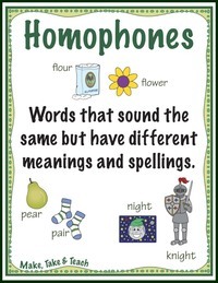 Homophones and Homographs - Grade 7 - Quizizz