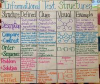 Informational Stories and Texts Flashcards - Quizizz