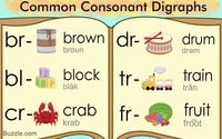 Consonant Digraphs Flashcards - Quizizz