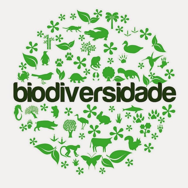 biodiversidad y conservación - Grado 9 - Quizizz