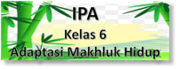 Ilmu Kehidupan - Kelas 6 - Kuis