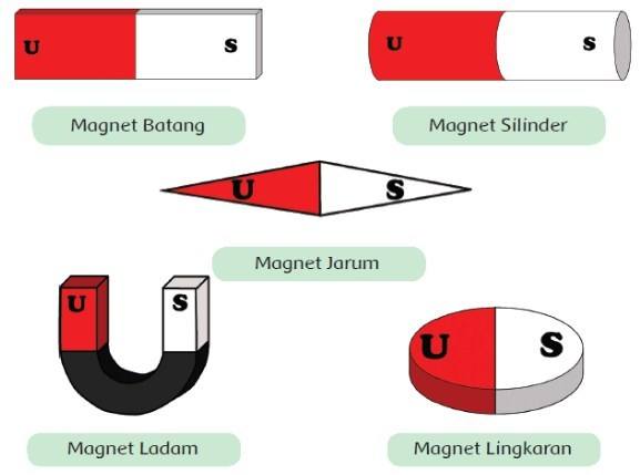 Magnet Dan Sifat-sifat Magnet Kelas 6 | Science - Quizizz