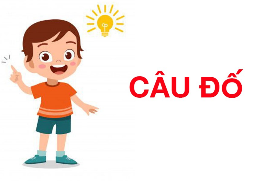 Câu hỏi hiểu tiểu thuyết Flashcards - Quizizz