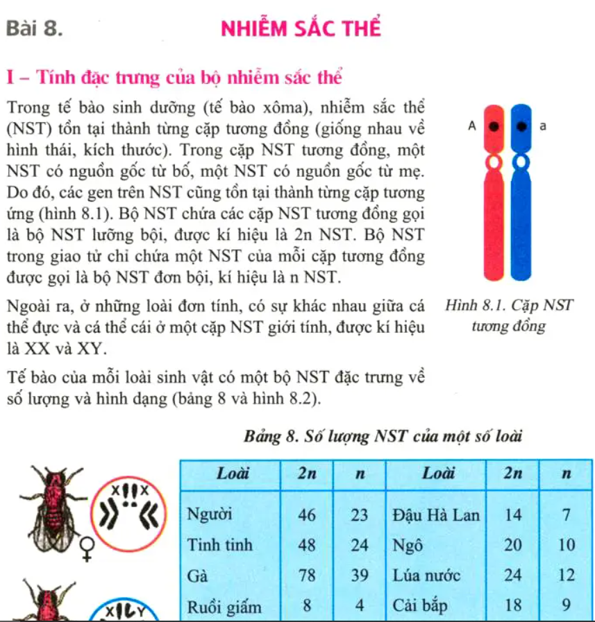 Sinh vật học - Lớp 2 - Quizizz