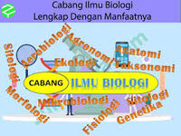 cabang yudikatif - Kelas 7 - Kuis