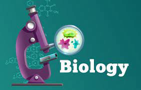 developmental biology - Grade 3 - Quizizz