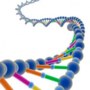 Struktura i replikacja DNA - Klasa 7 - Quiz