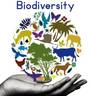 Food Webs and Biodiversity