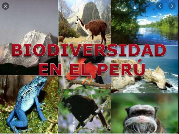 biodiversidad y conservación - Grado 7 - Quizizz