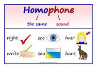 Homophones and Homographs - Grade 9 - Quizizz