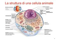 la Cellula