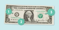 Dollars - Year 6 - Quizizz