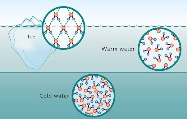 molecules-of-life-other-quiz-quizizz