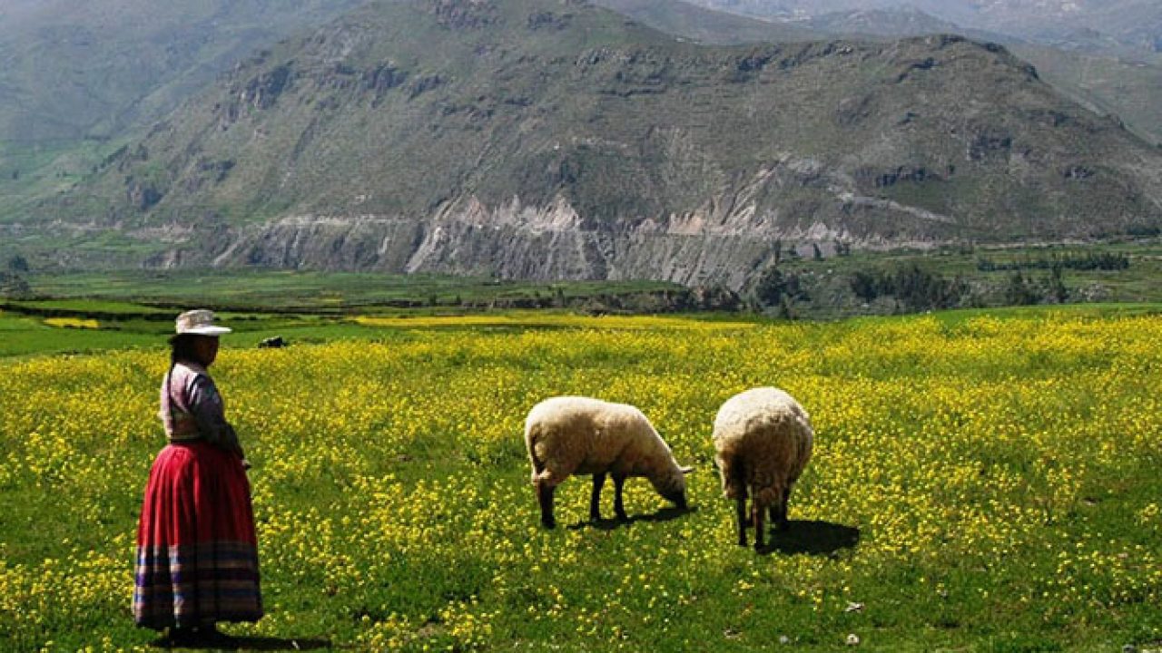 La sierra peruana.