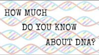 struktur dan replikasi DNA - Kelas 10 - Kuis