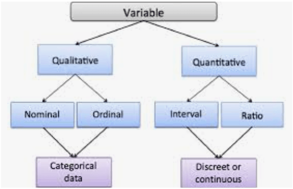 Types of Variables | Mathematics - Quizizz