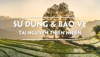 Tổ chức và cấu trúc văn bản - Lớp 11 - Quizizz