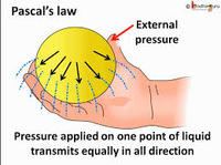 electrolysis and faradays law - Year 8 - Quizizz