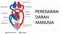 peradaban kuno - Kelas 5 - Kuis