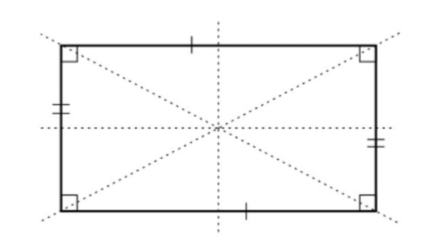 Lines of Symmetry - Grade 10 - Quizizz