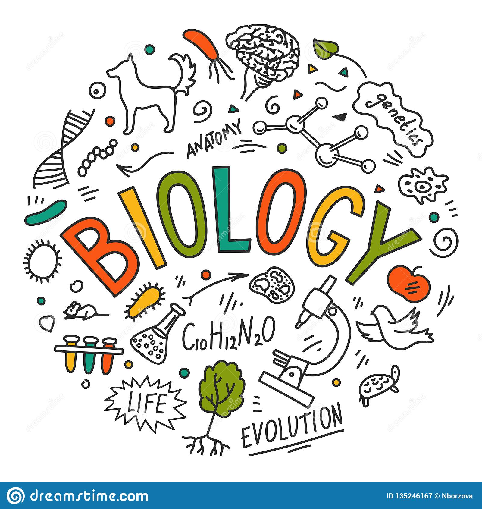 plant biology - Class 5 - Quizizz