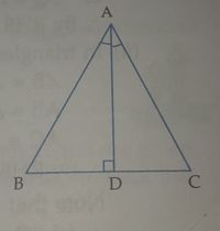 congruency in isosceles and equilateral triangles - Class 7 - Quizizz