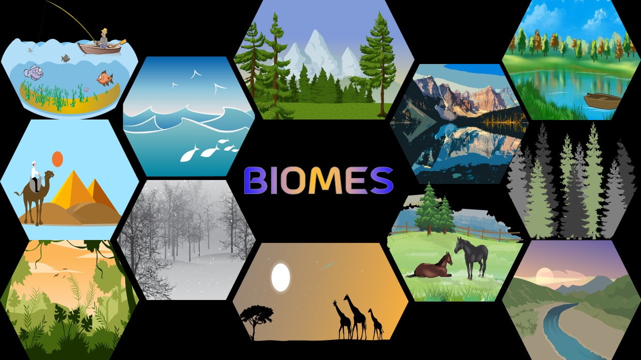 Biomes questions & answers for quizzes and tests - Quizizz