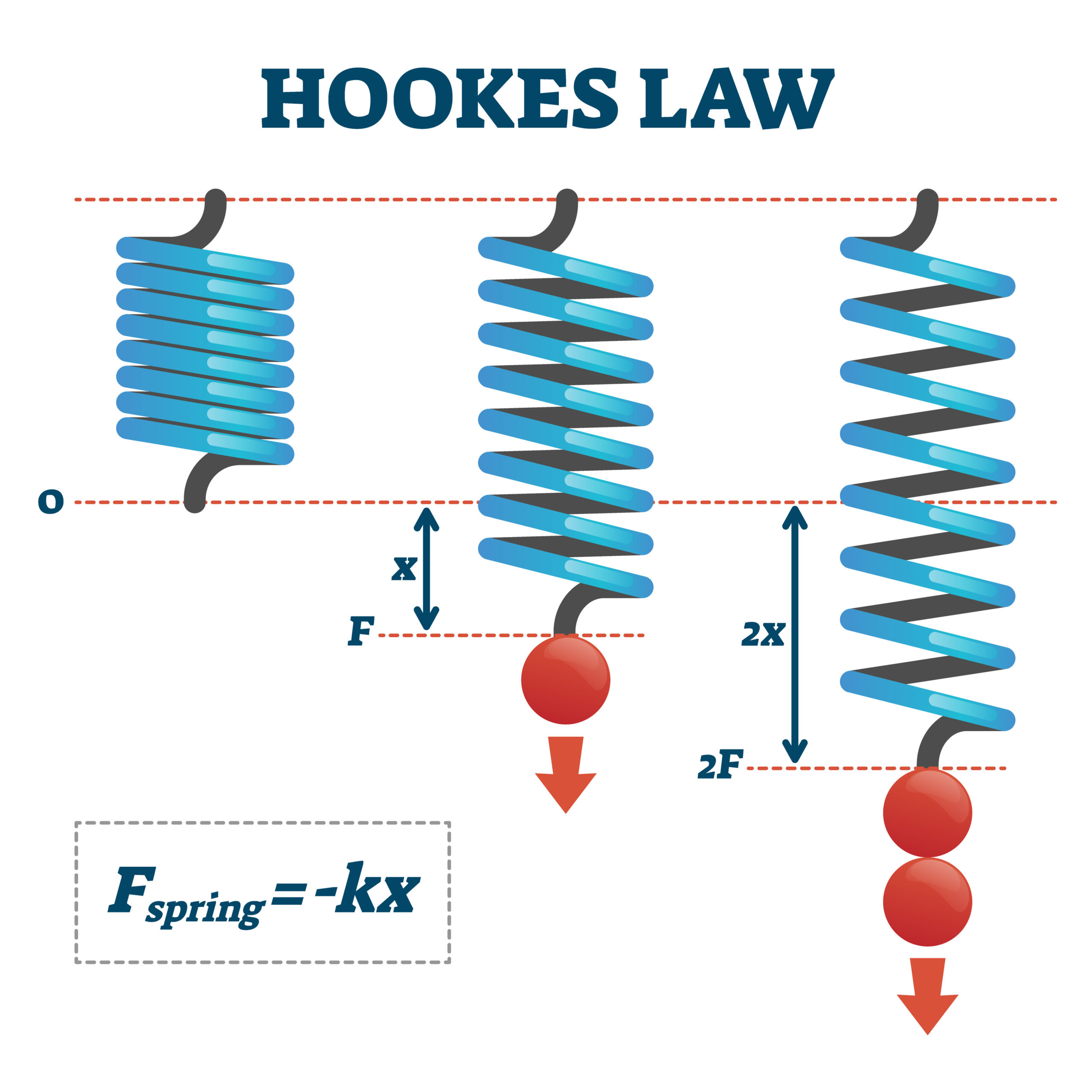 spring potential energy and hookes law - Year 11 - Quizizz