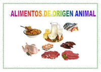 Alimento - Grado 4 - Quizizz