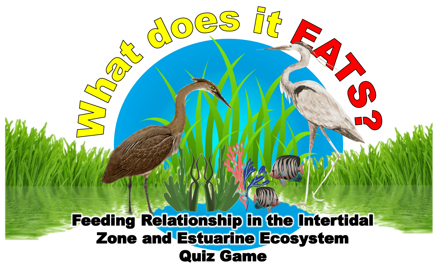 Food Chain/Food Web | Quizizz