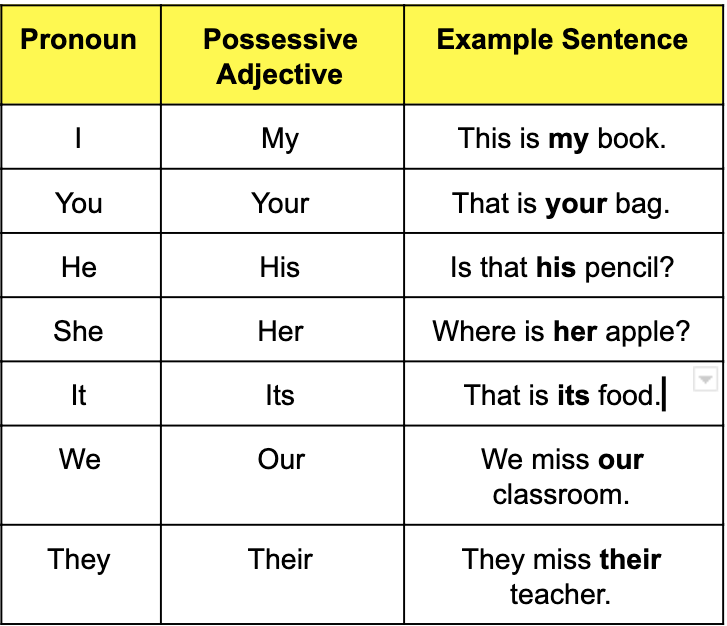 English Possessive Adjectives | Other Quiz - Quizizz