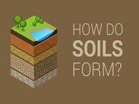 soils - Grade 2 - Quizizz