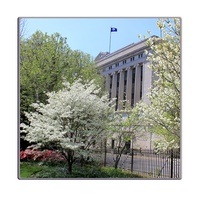 the judicial branch Flashcards - Quizizz