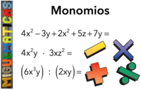 Monomials Operations - Class 5 - Quizizz