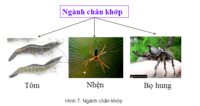 sinh học con người - Lớp 10 - Quizizz