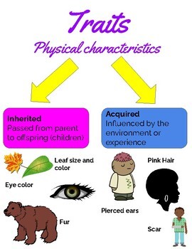 inheritance of acquired characteristics