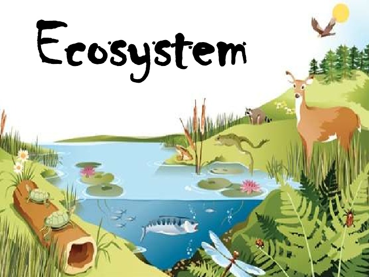 Science Form 2_Chap 2 Ecosystem | 783 plays | Quizizz