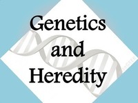 variação genética - Série 5 - Questionário